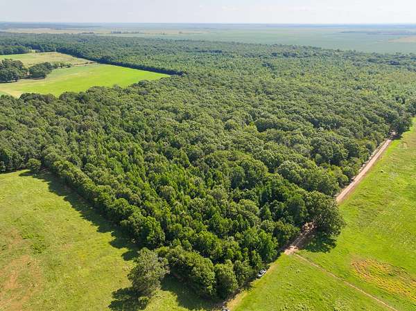 40 Acres of Recreational Land for Sale in Fouke, Arkansas