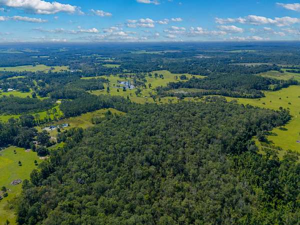 20 Acres of Land for Sale in Madison, Florida