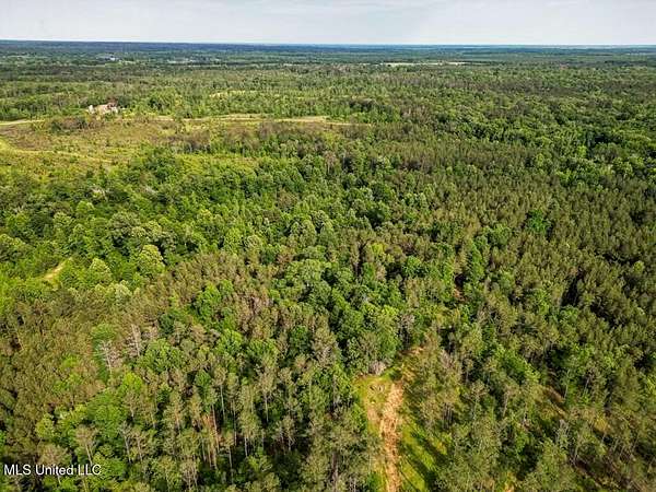 290 Acres of Recreational Land & Farm for Sale in Harrisonburg, Louisiana