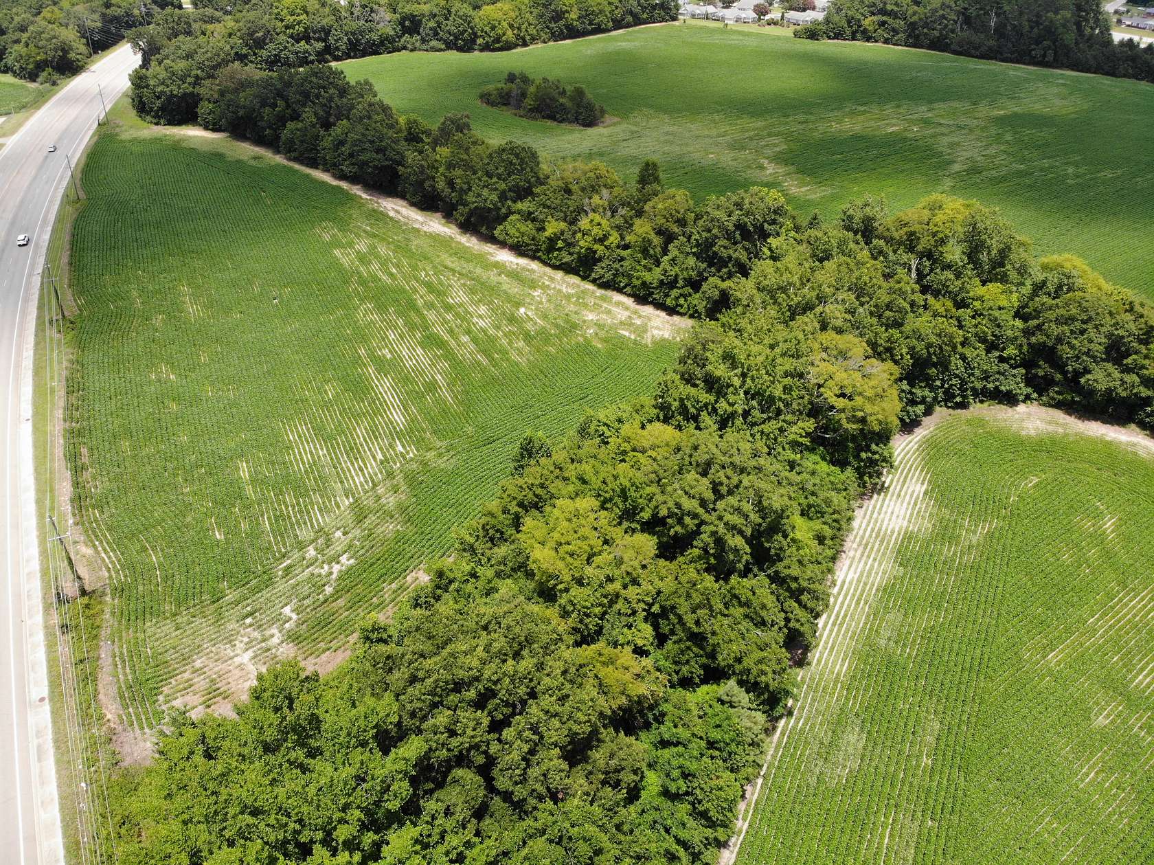 118 Acres of Land for Sale in Whigham, Georgia