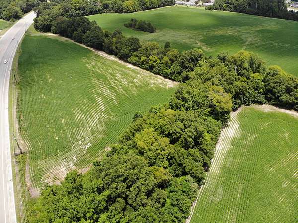 118 Acres of Land for Sale in Whigham, Georgia