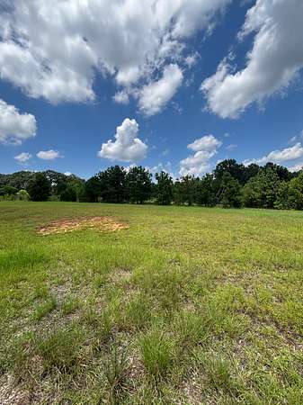 0.32 Acres of Residential Land for Sale in Troy, Alabama