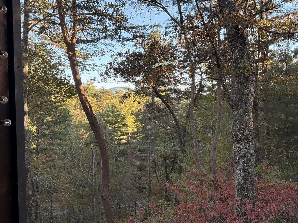 2.7 Acres of Residential Land with Home for Sale in Cherry Log, Georgia