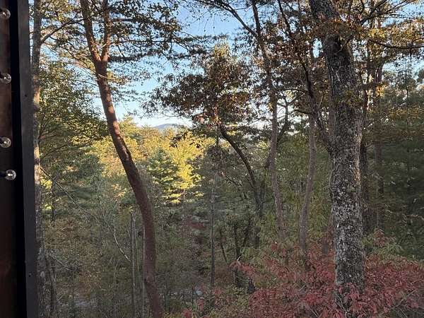 2.7 Acres of Residential Land with Home for Sale in Cherry Log, Georgia