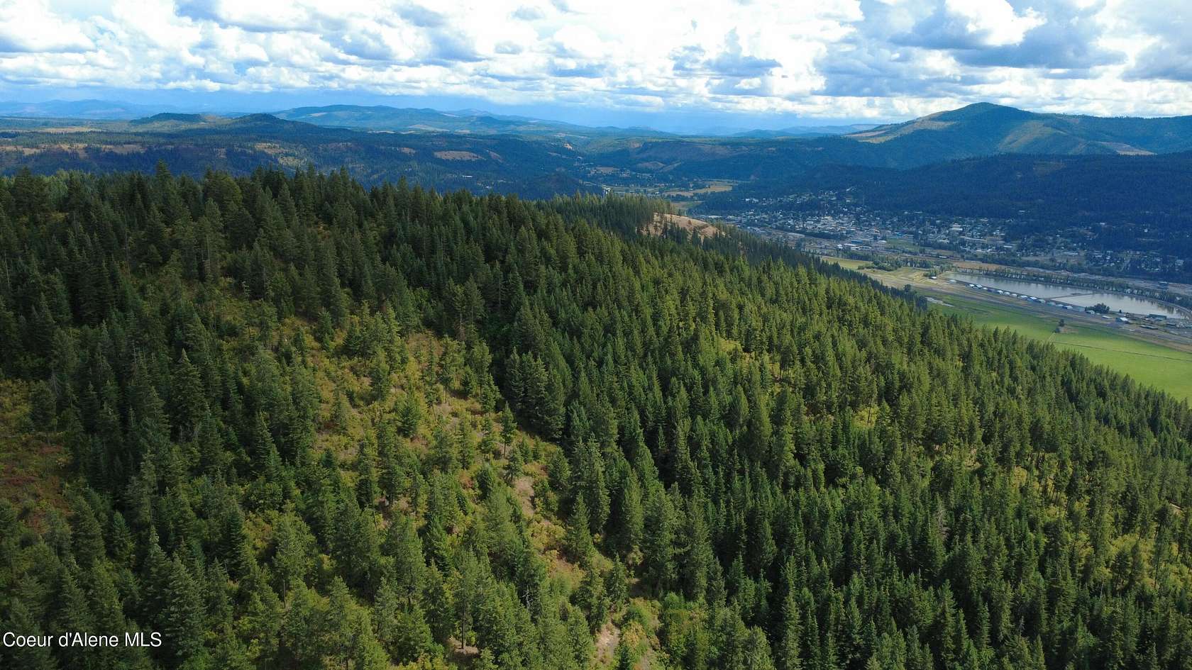 40 Acres of Recreational Land for Sale in St. Maries, Idaho