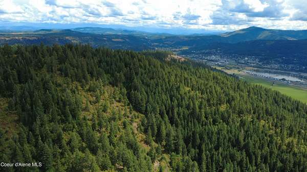 40 Acres of Recreational Land for Sale in St. Maries, Idaho