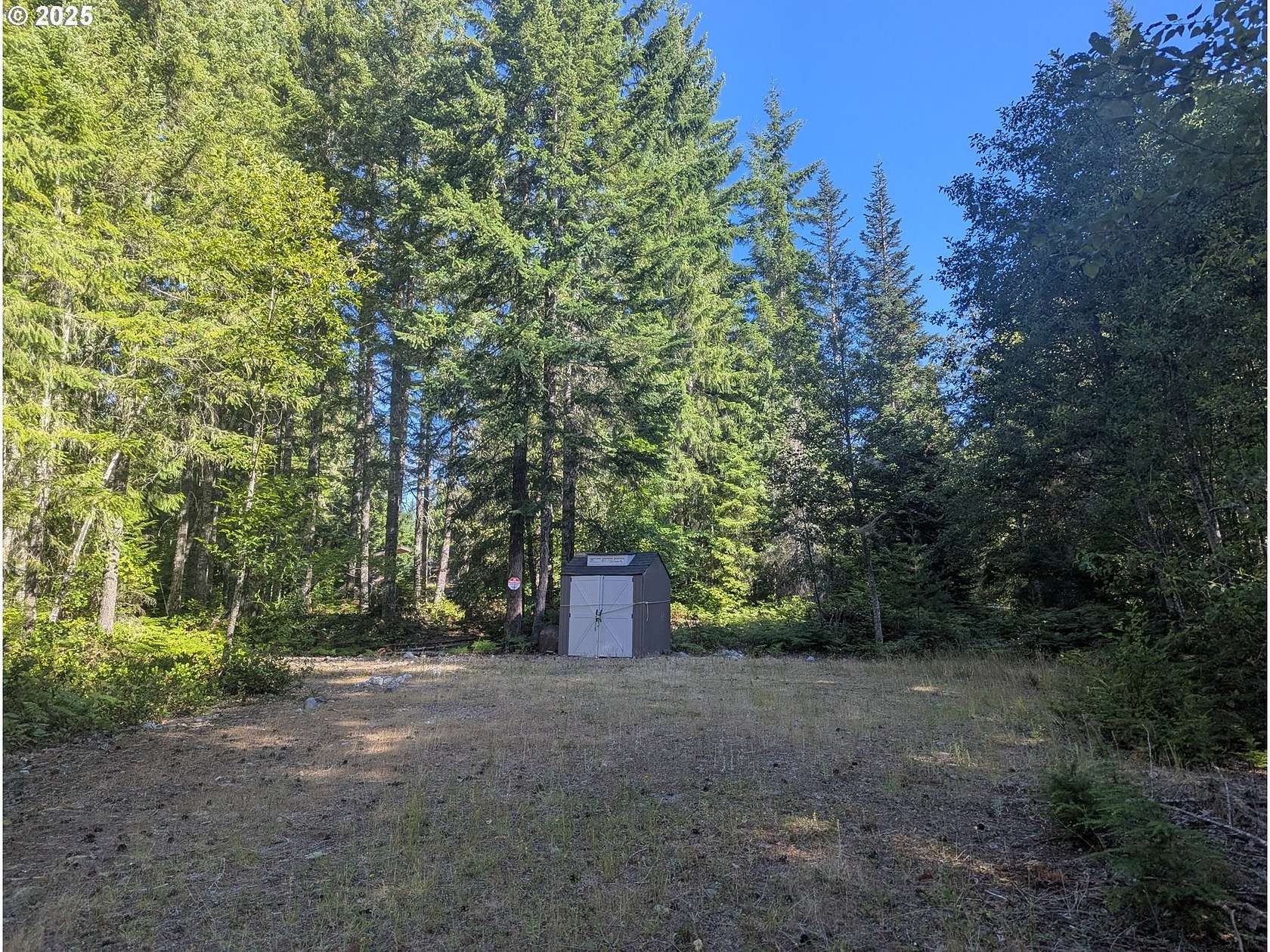 0.66 Acres of Land for Sale in Cougar, Washington