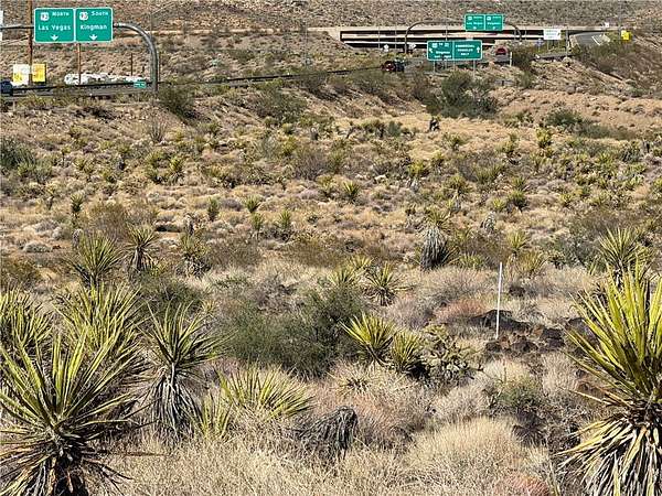 1.42 Acres of Mixed-Use Land for Sale in Golden Valley, Arizona