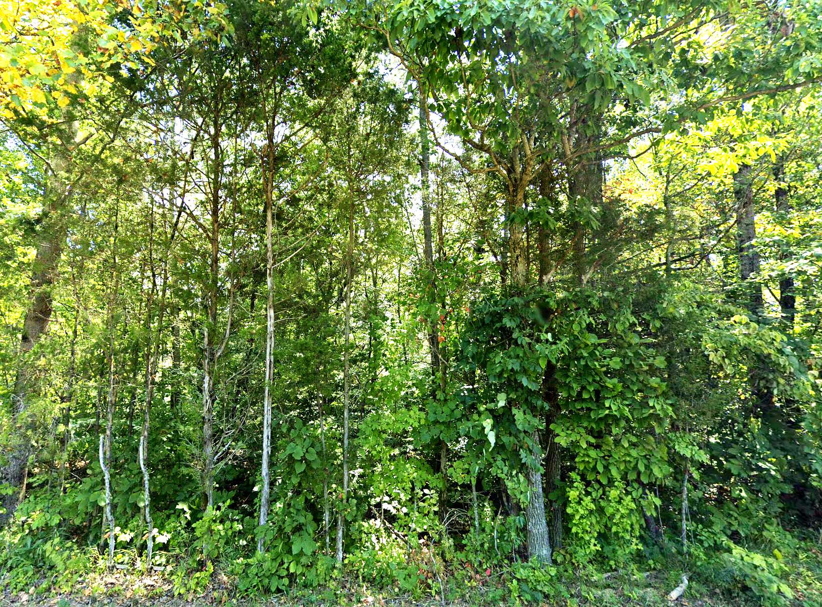 2 Acres of Residential Land for Sale in Marengo, Indiana