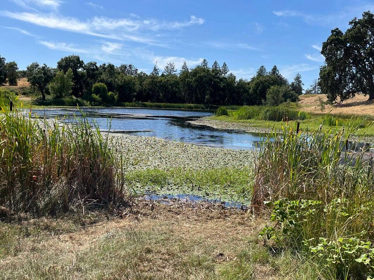 12 Acres of Land for Sale in Plymouth, California