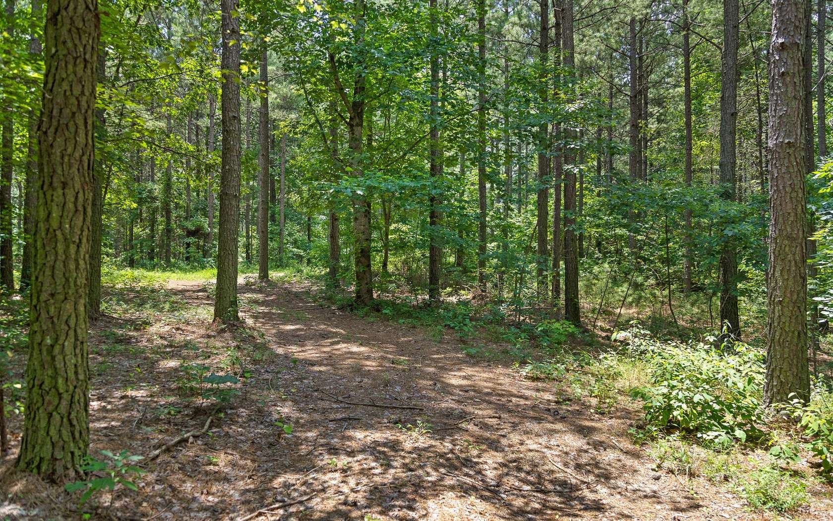 1 Acre of Residential Land for Sale in Haletown, Tennessee