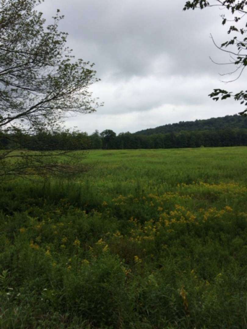 30.9 Acres of Recreational Land & Farm for Sale in Woodbourne, New York