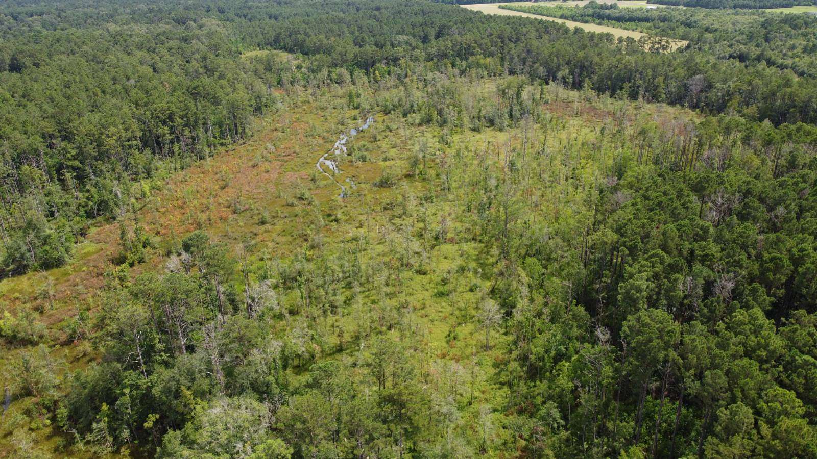 86 Acres of Recreational Land & Farm for Sale in Kinder, Louisiana