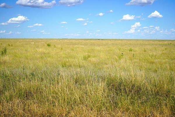 210 Acres of Recreational Land for Sale in Syracuse, Kansas