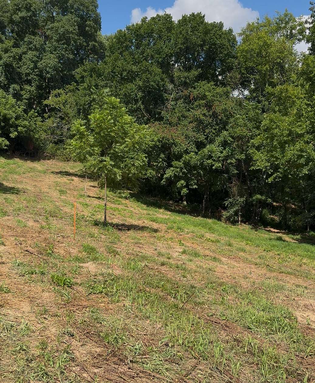 25.3 Acres of Land for Sale in Goodlettsville, Tennessee