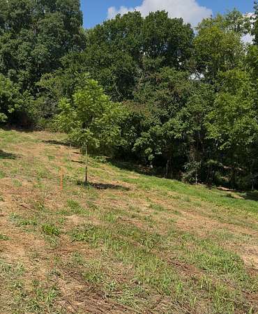 25.3 Acres of Land for Sale in Goodlettsville, Tennessee