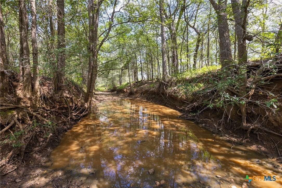 259 Acres of Recreational Land & Farm for Sale in Gonzales, Texas