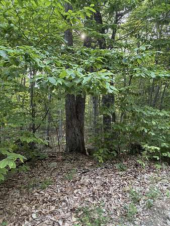 0.46 Acres of Residential Land for Sale in Naples, Maine