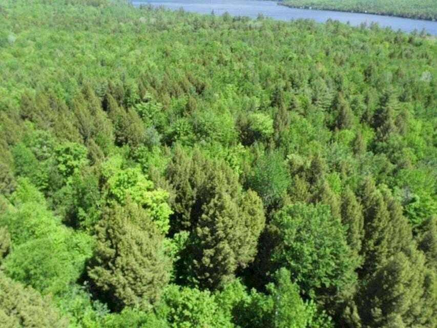53.6 Acres of Recreational Land for Sale in Embden, Maine