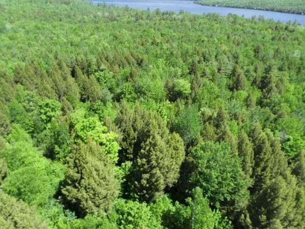 53.6 Acres of Recreational Land for Sale in Embden, Maine