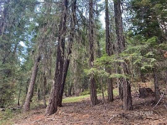 5.6 Acres of Recreational Land for Sale in Hayfork, California