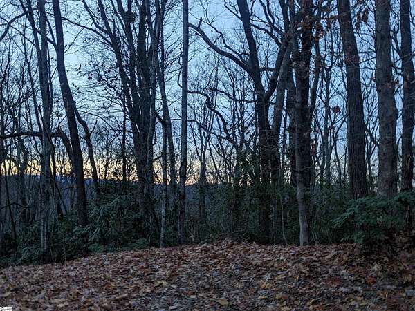 0.63 Acres of Residential Land for Sale in Cleveland, South Carolina