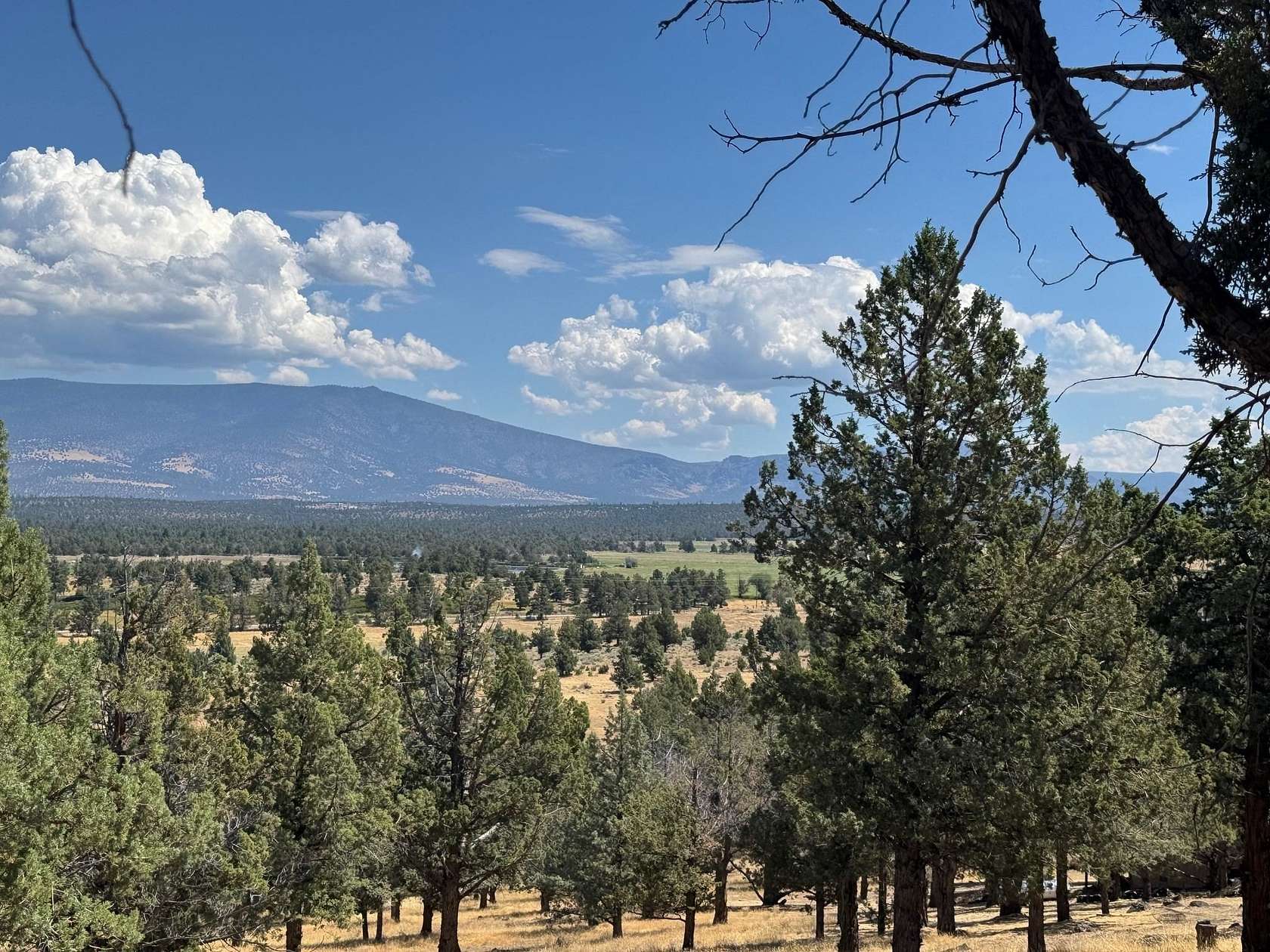 0.34 Acres of Residential Land for Sale in Weed, California