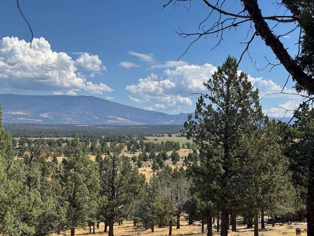 0.34 Acres of Land for Sale in Weed, California