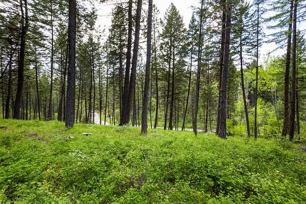 1.49 Acres of Residential Land for Sale in Bigfork, Montana