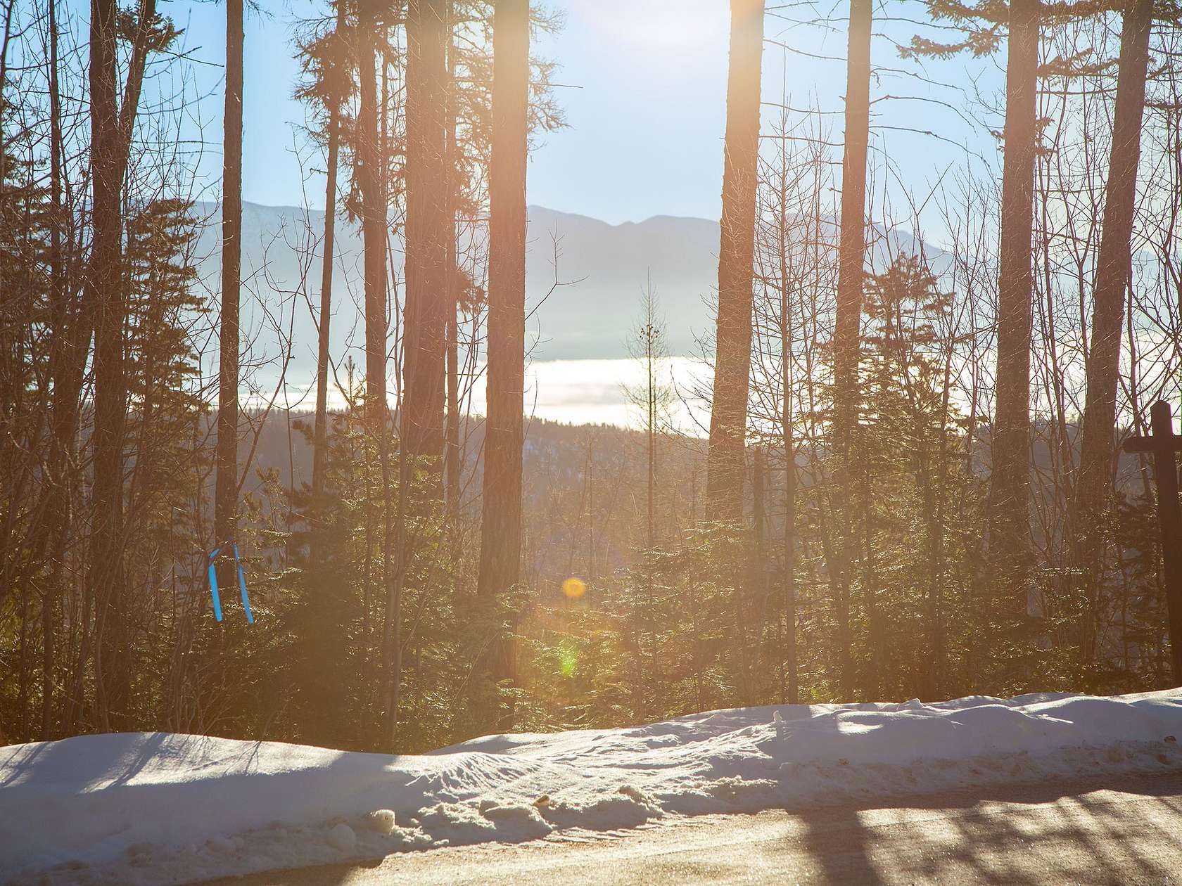 0.44 Acres of Residential Land for Sale in Whitefish, Montana