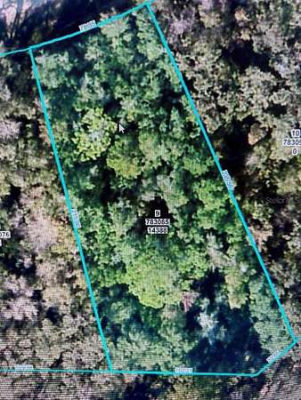 0.55 Acres of Residential Land for Sale in Weeki Wachee, Florida
