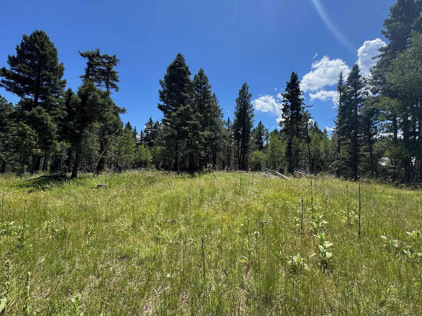 0.58 Acres of Residential Land for Sale in Angel Fire, New Mexico