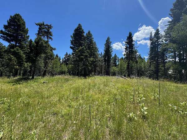 0.58 Acres of Mixed-Use Land for Sale in Angel Fire, New Mexico