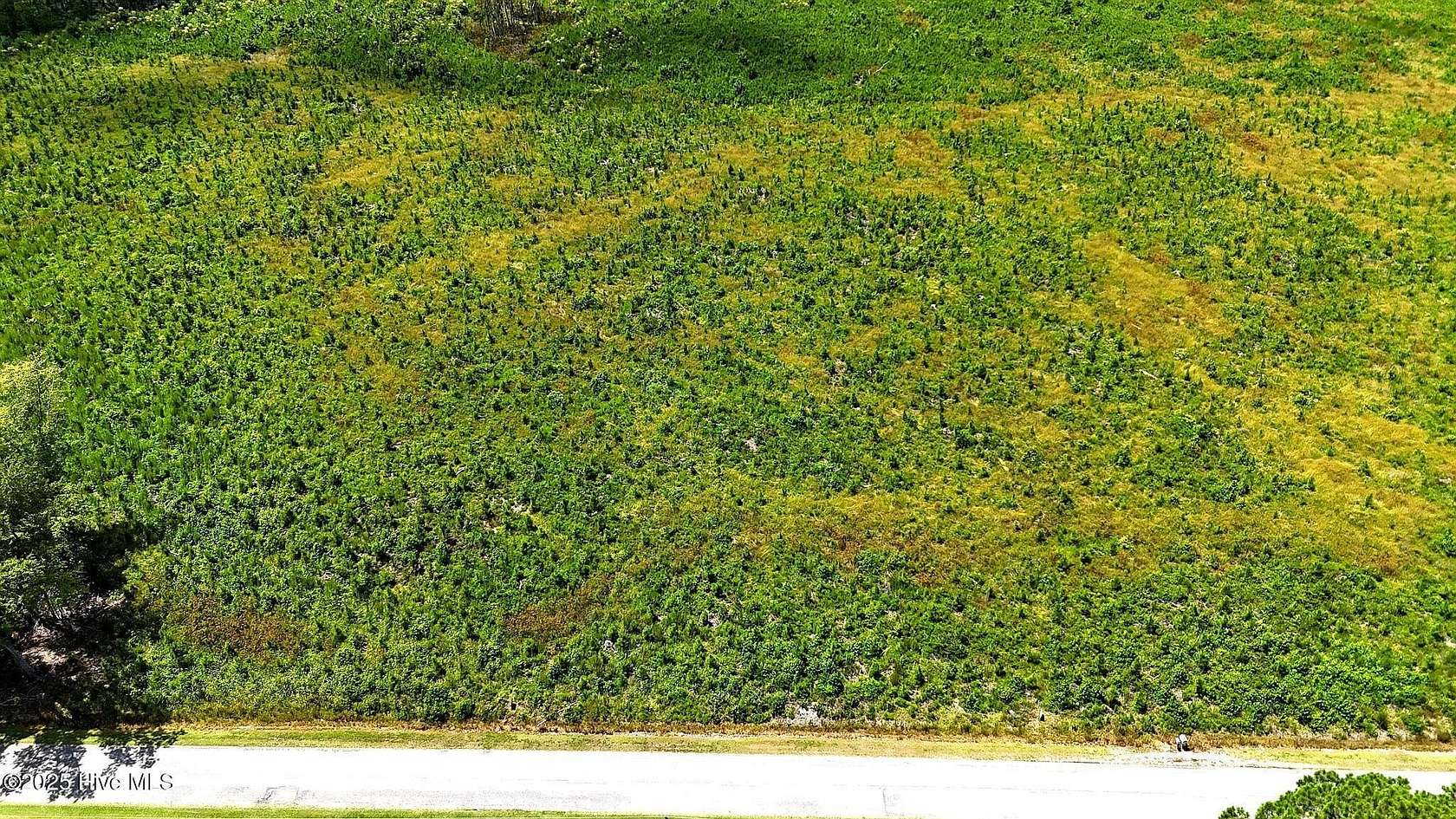 1 Acre of Land for Sale in New Hope, North Carolina