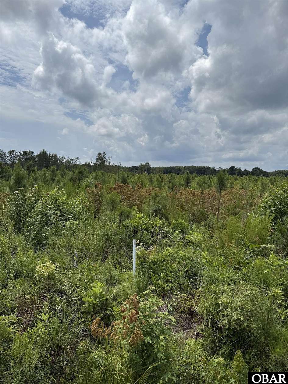 Land for Sale in New Hope, North Carolina
