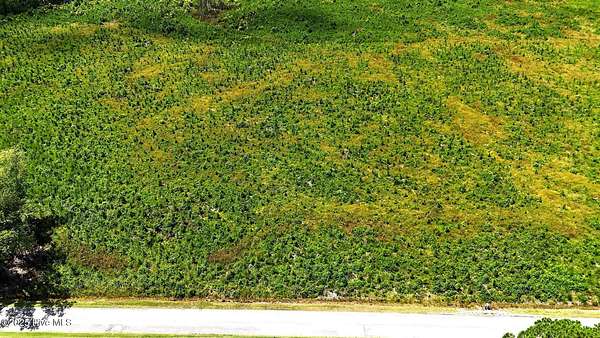 1 Acre of Land for Sale in New Hope, North Carolina