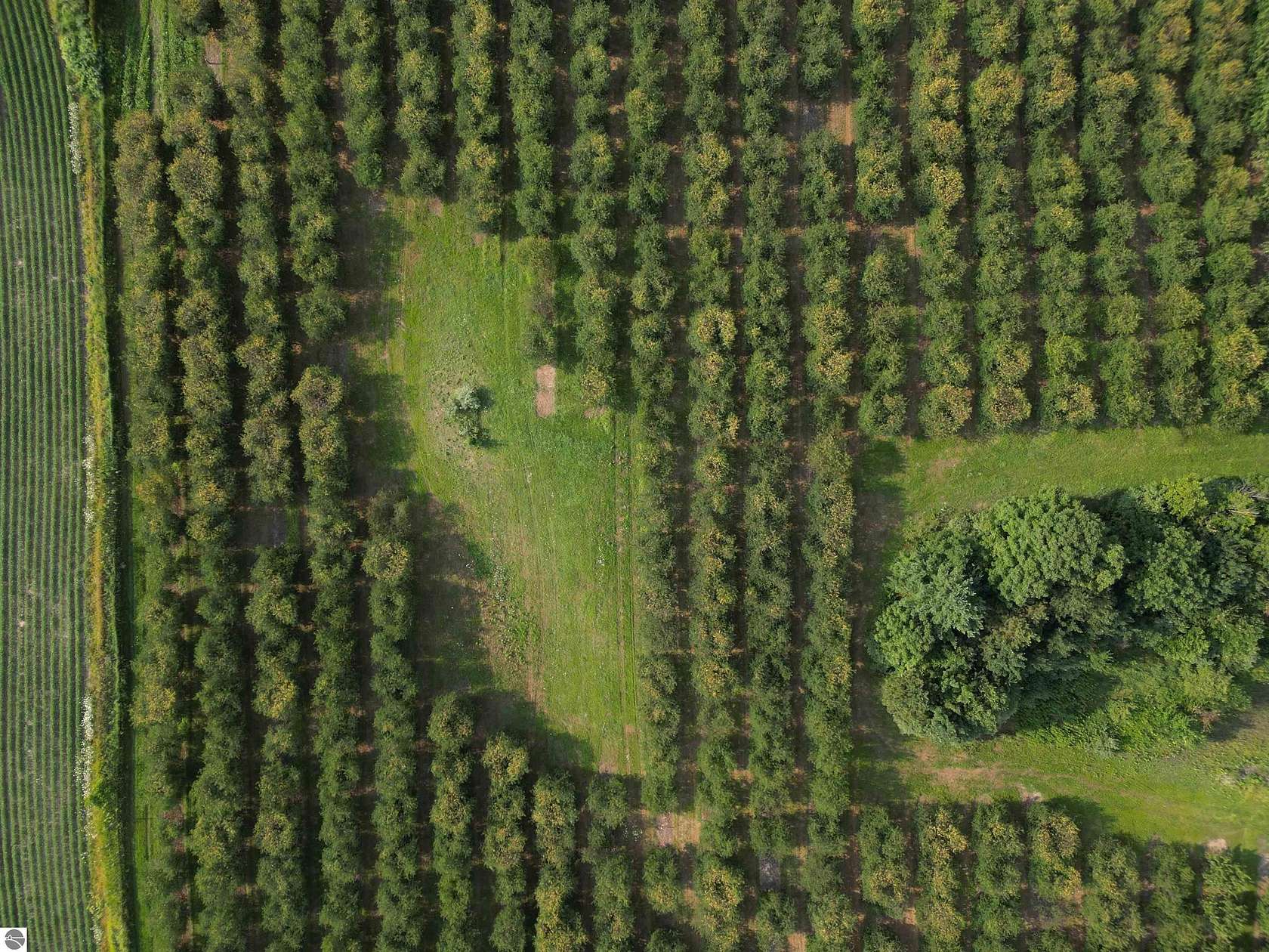 85.3 Acres of Land for Sale in Traverse City, Michigan