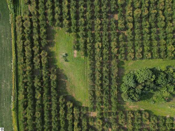 85.3 Acres of Land for Sale in Traverse City, Michigan