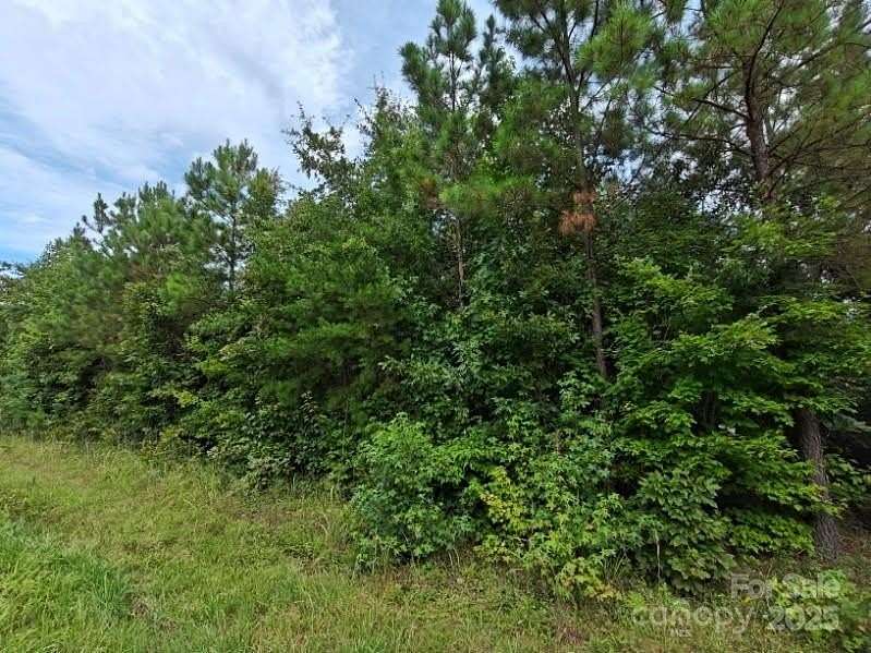 11.5 Acres of Recreational Land for Sale in Richfield, North Carolina