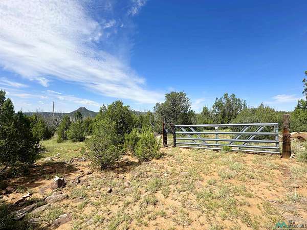 10 Acres of Land for Sale in Serafina, New Mexico