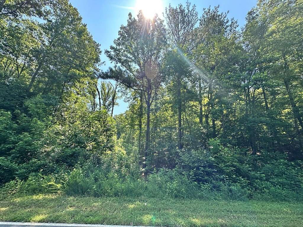 16.1 Acres of Land for Sale in Tallapoosa, Georgia