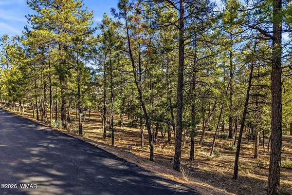 0.55 Acres of Residential Land for Sale in Show Low, Arizona