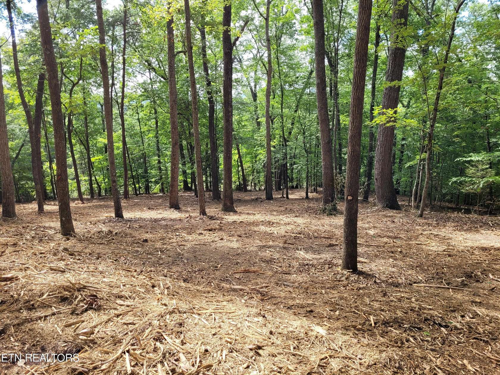 5.4 Acres of Residential Land for Sale in Sharps Chapel, Tennessee