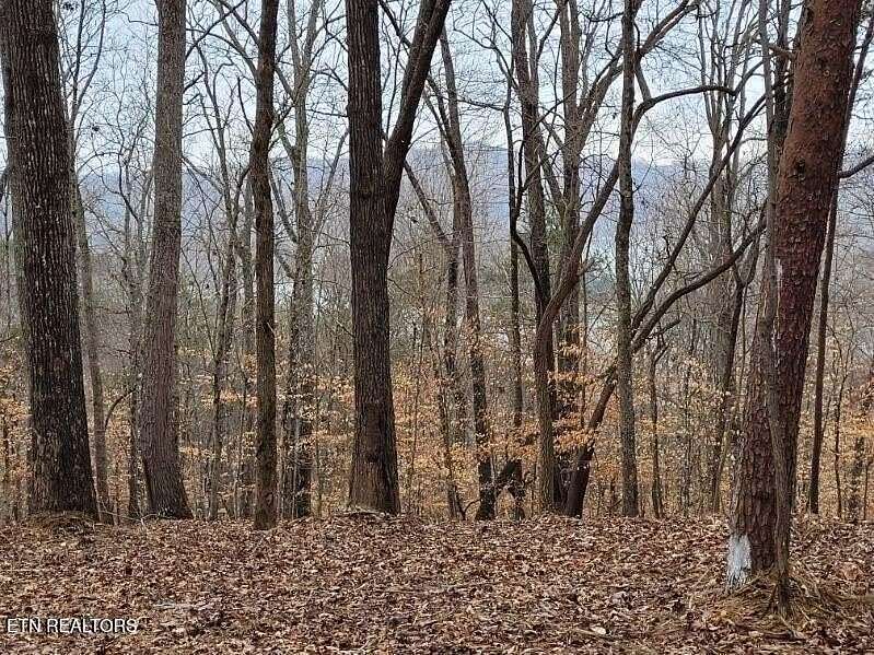 5.4 Acres of Residential Land for Sale in Sharps Chapel, Tennessee