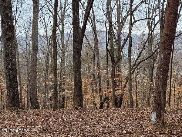 5.4 Acres of Residential Land for Sale in Sharps Chapel, Tennessee