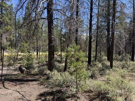 2 Acres of Residential Land for Sale in Chiloquin, Oregon
