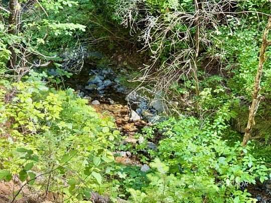 10 Acres of Land for Sale in Weaverville, California