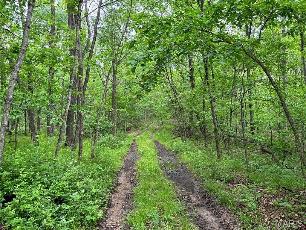13 Acres of Recreational & Residential Land for Sale in Santa Fe, Missouri