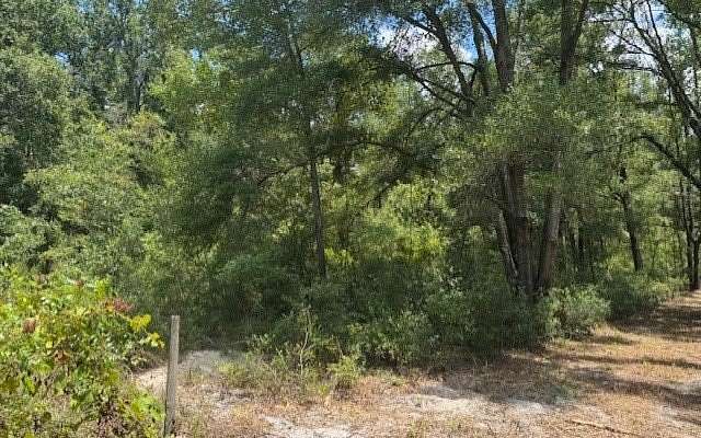 5 Acres of Residential Land for Sale in O'Brien, Florida