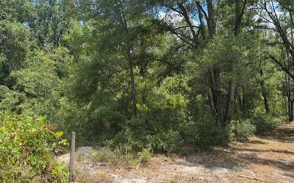 5 Acres of Residential Land for Sale in O'Brien, Florida